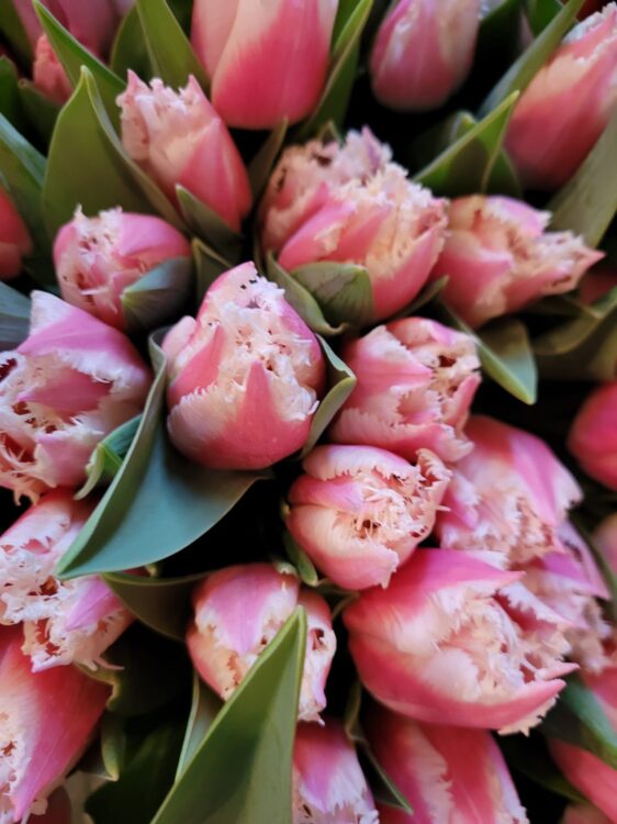 FRESH FLOWERS —