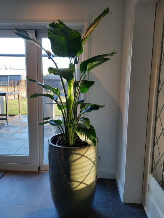 BLIJE KLANTEN —