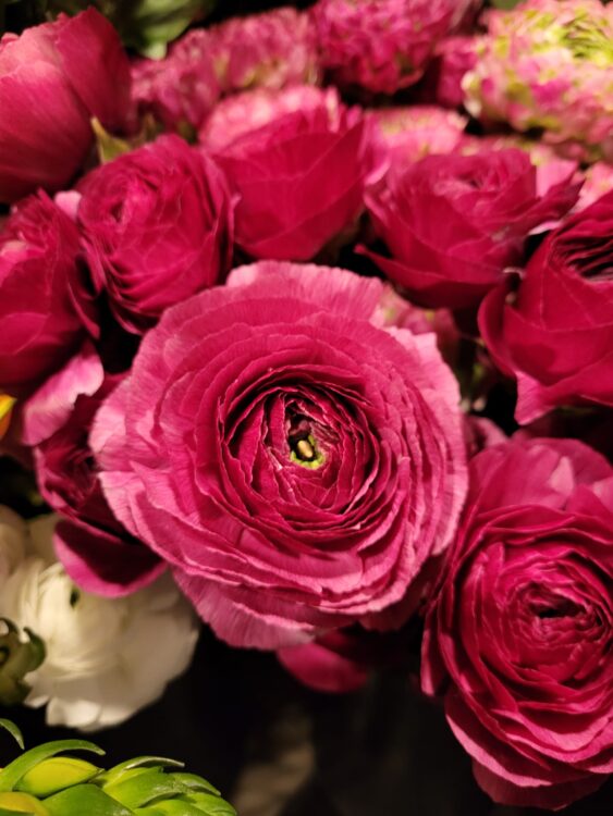 FLOWERS —