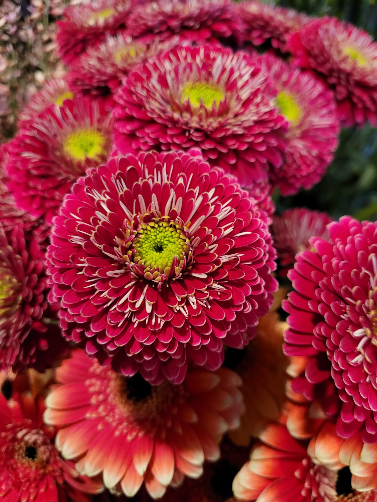 FLOWERS —