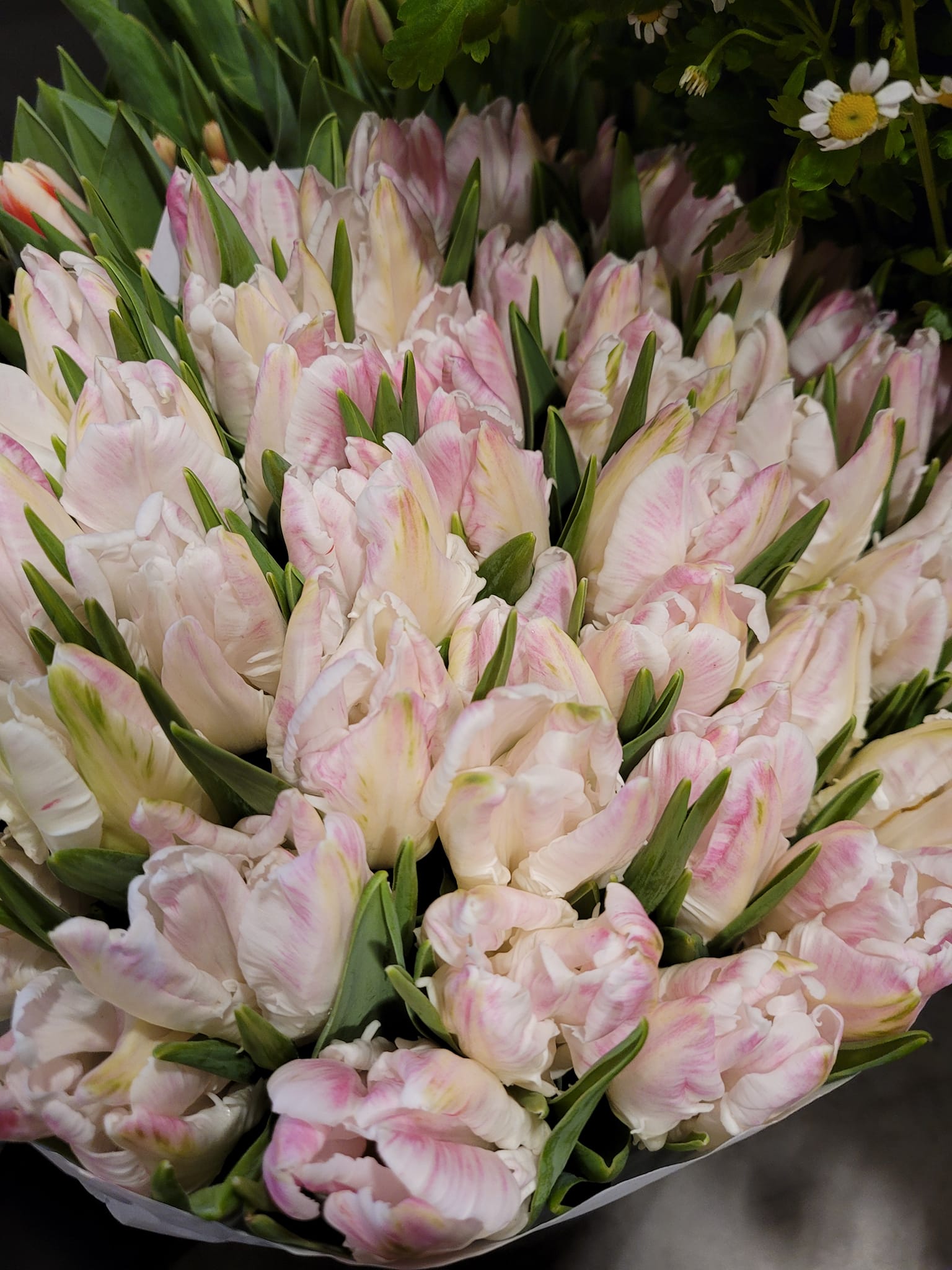 FLOWERS —