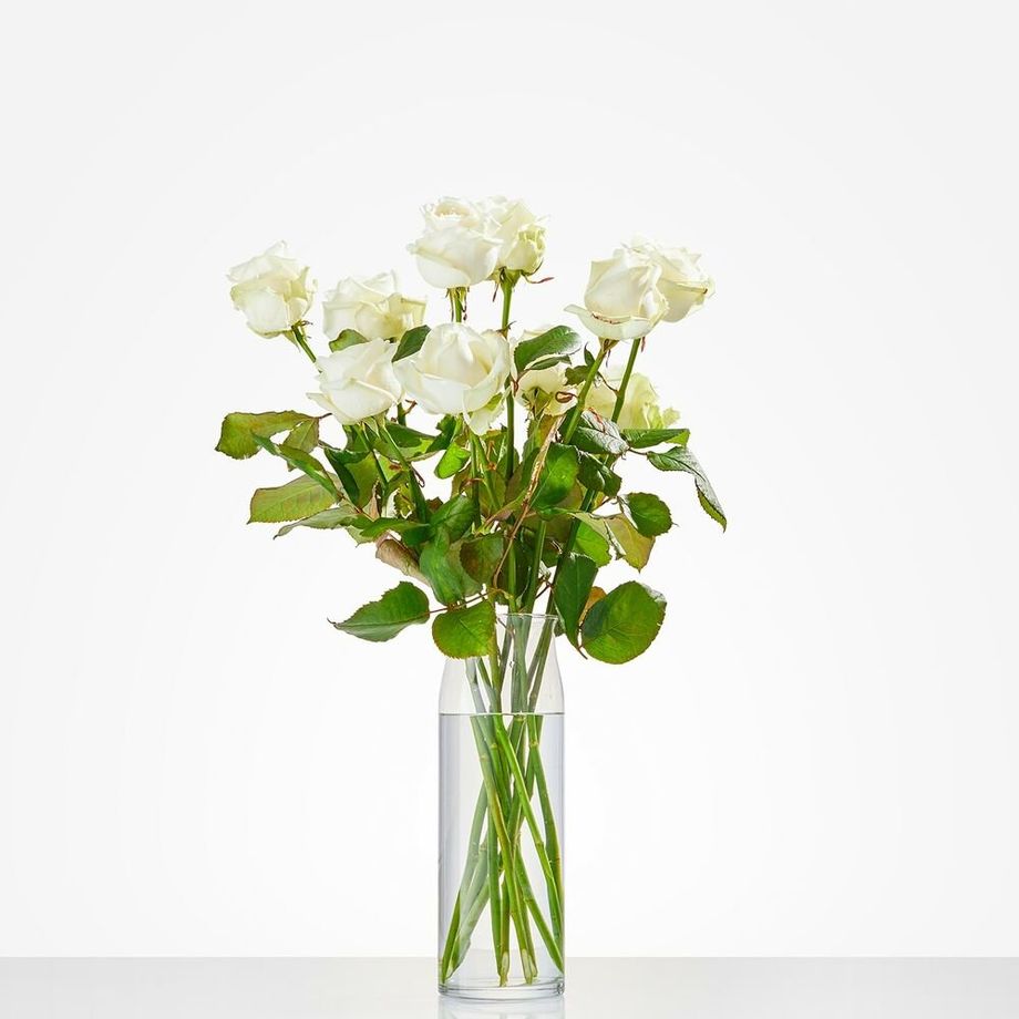 Losse witte roos