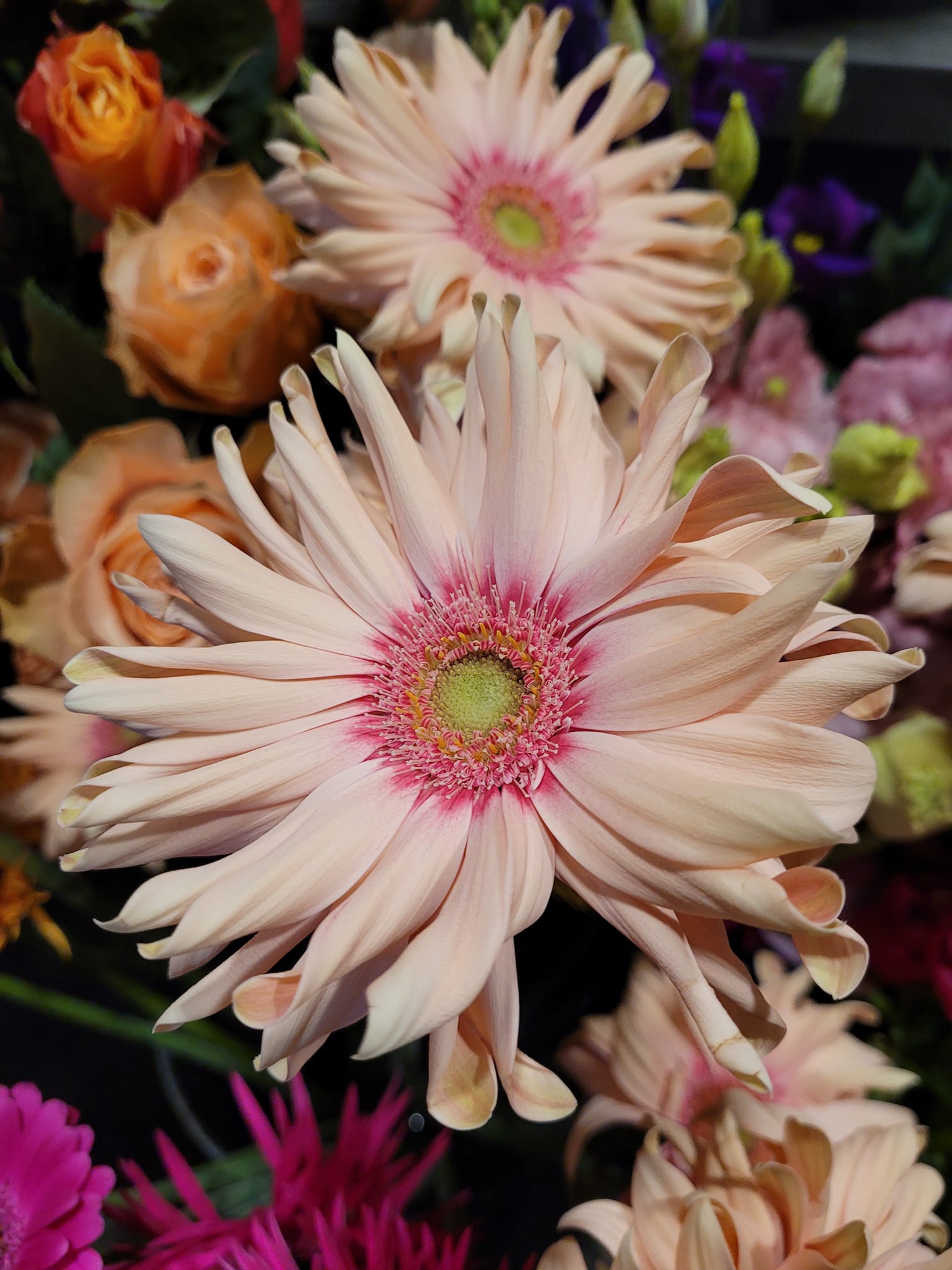BLOEMEN PRACHT —