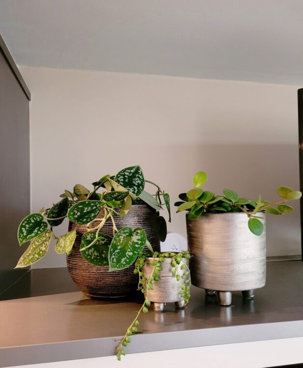 GROEN STYLING —