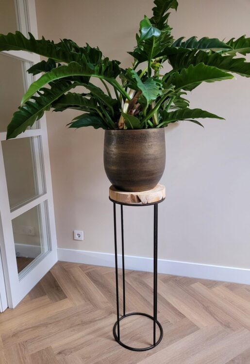 GROEN STYLING —