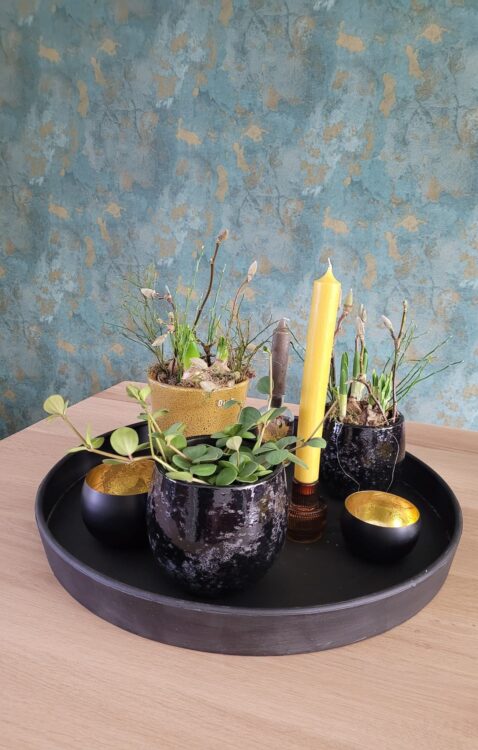 GROEN STYLING —