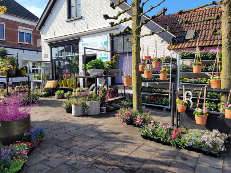 BUITEN PLANTEN —