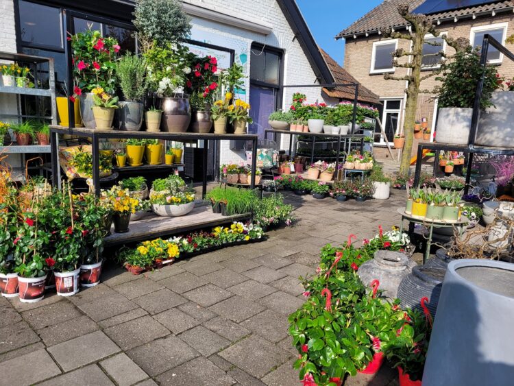 BUITEN PLANTEN —