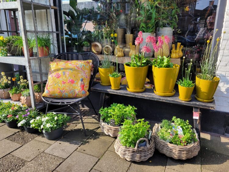 BUITEN PLANTEN —