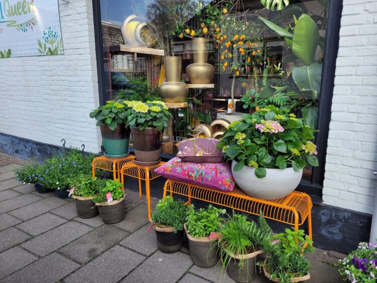 BUITEN PLANTEN —