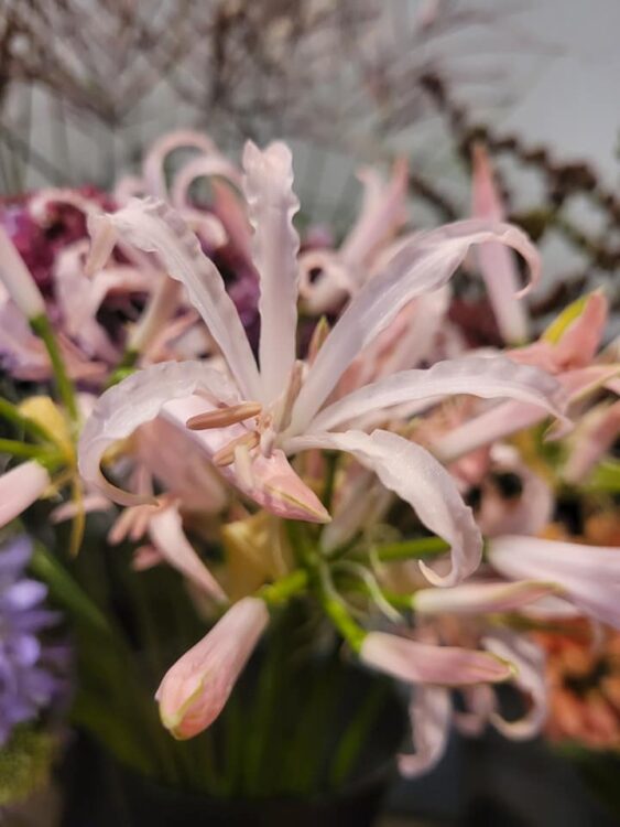 FLOWERS —