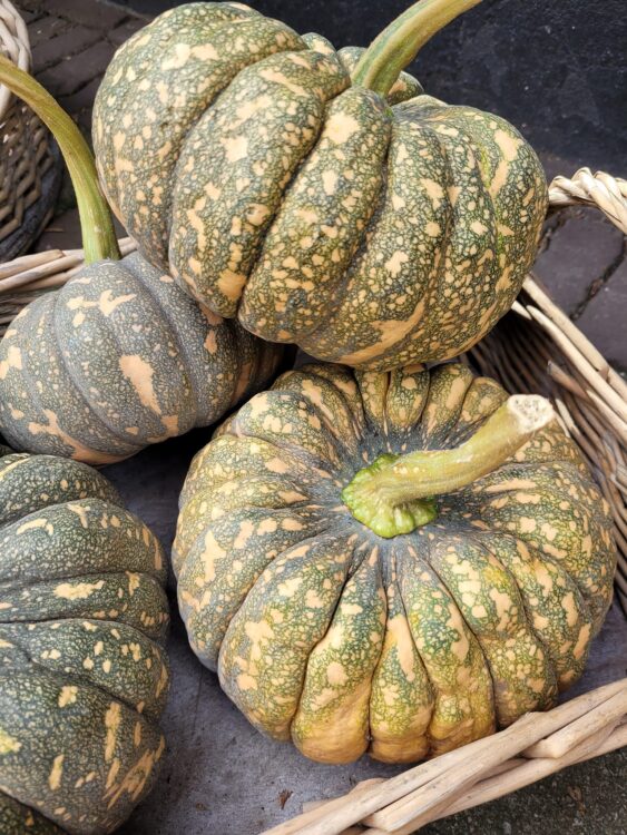 HERFST —