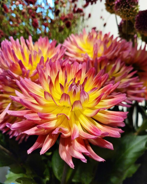 FLOWERS —