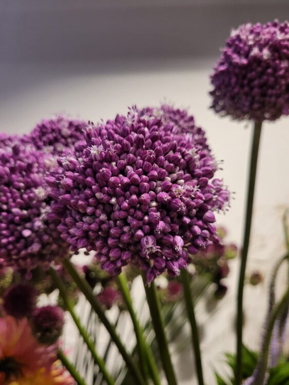 FLOWERS —