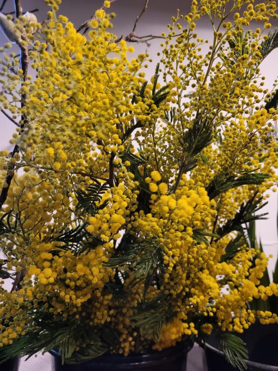 VERSE BLOEMEN —