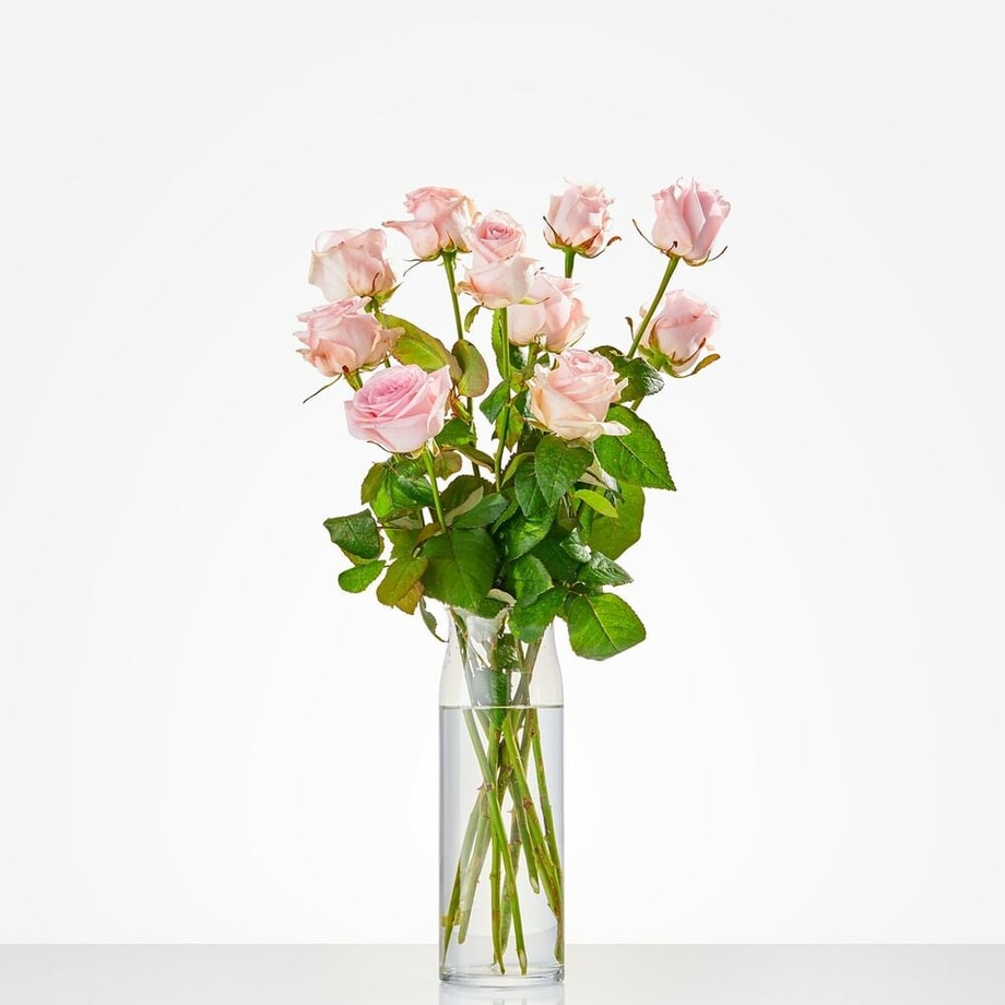 Losse roze roos