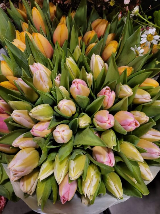 VERSE BLOEMEN —