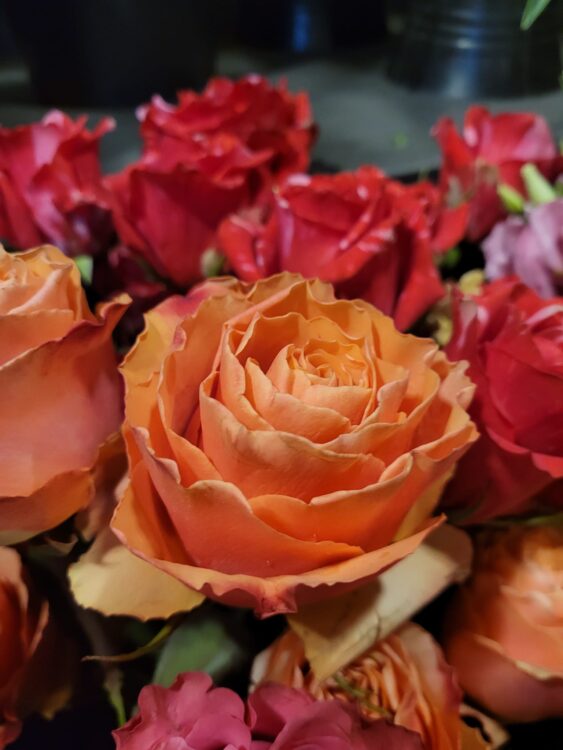 VERSE BLOEMEN —