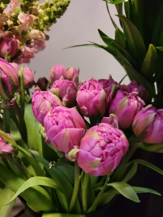 BLOEMEN –