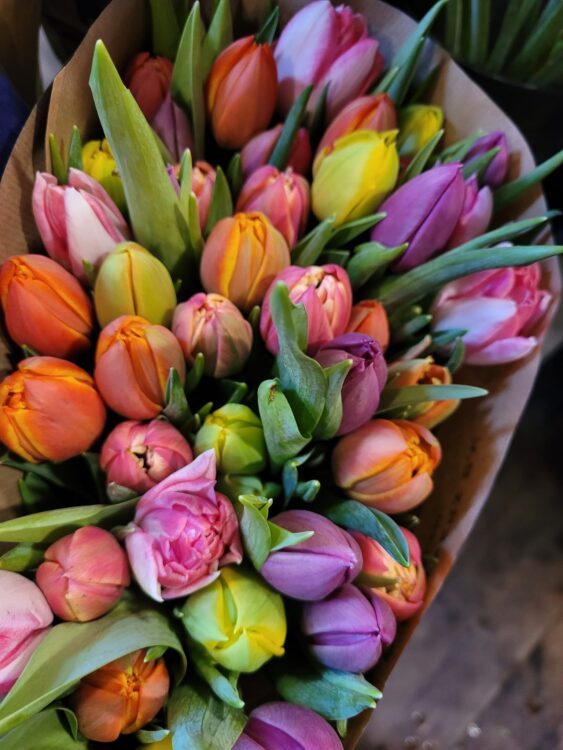 BLOEMEN –