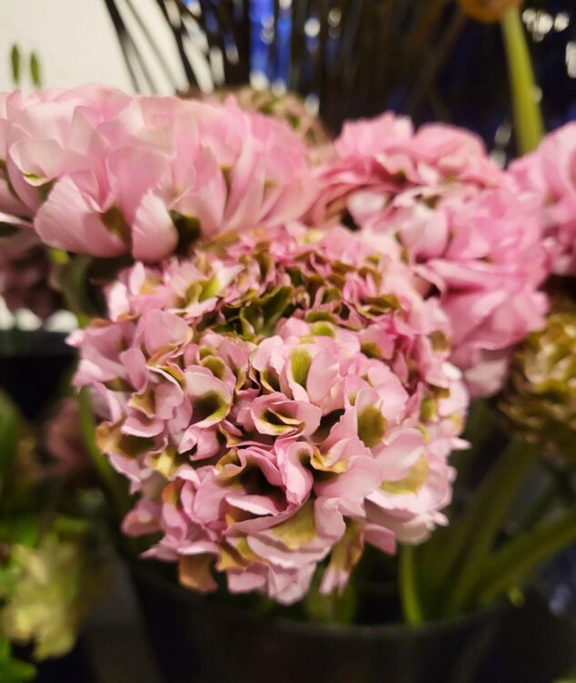 VOORJAARSBLOEMEN —